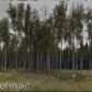 1654 W Gold Bar Road, Wasilla, AK 99654 ID:11862284