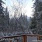 305 Brighton Road, Girdwood, AK 99587 ID:12037550
