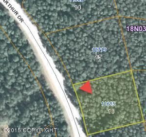 12685 W King Arthur Drive, Big Lake, AK 99652
