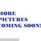 26 SW ST, Fort Lauderdale, FL 33330 ID:11929504