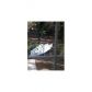 227 Terrydale Drive, Marietta, GA 30067 ID:12023797