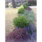 1725 Alderbrook Court Ne, Atlanta, GA 30345 ID:12055185