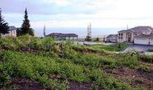 16624 Waterford Pointe Circle Chest Springs, PA 16624