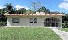 305 St Kennedy Hil Trujillo Alto, PR 00976