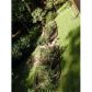 3387 Mosswood Lane, Rex, GA 30273 ID:12098583
