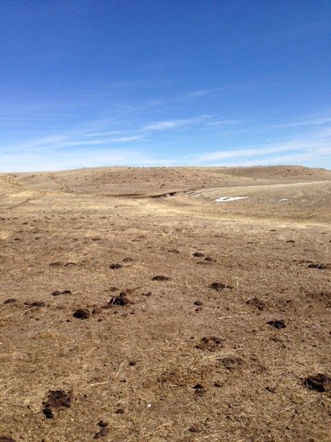 North Highway 71, Kimball, NE 69145