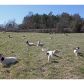 245 Cedar Drive, Nicholson, GA 30565 ID:12118107
