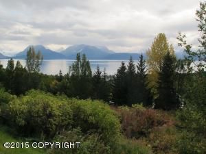 Lot 16 Kestrel Circle, Homer, AK 99603