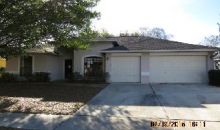 11323 Andy Dr Riverview, FL 33569