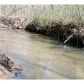 360 Danburg Court, Jasper, GA 30143 ID:11985124