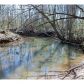 360 Danburg Court, Jasper, GA 30143 ID:11985125