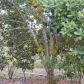 37225 SW 214 AV, Homestead, FL 33034 ID:12198241