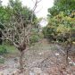 37225 SW 214 AV, Homestead, FL 33034 ID:12198242