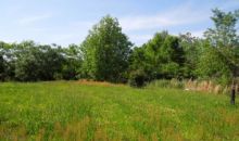 72 Ac. Possum Hollow Road Smithville, TN 37166