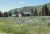 29070 River Dr Leesville, SC 29070