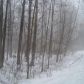 5665 County Road 98, Mount Gilead, OH 43338 ID:12201525