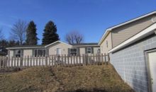 1309 Cameron Hollow Rd New Cumberland, WV 26047