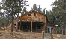 174 Pioneer Creek Dr Florissant, CO 80816