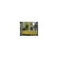 816 NW 11 ST # 801, Miami, FL 33136 ID:12246243