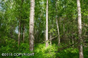 L79 NSA, Chugiak, AK 99567