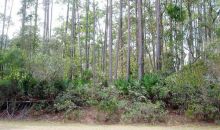 305 SABAL PALM CT Georgetown, FL 32139