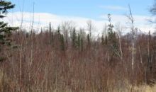 9289 E Spring Creek Circle Palmer, AK 99645