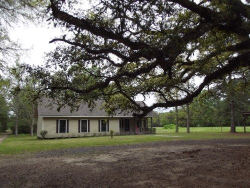 31838 Carter Cemetery Rd, Springfield, LA 70462