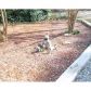 777 Horseshoe Bend Road, Dahlonega, GA 30533 ID:12146063