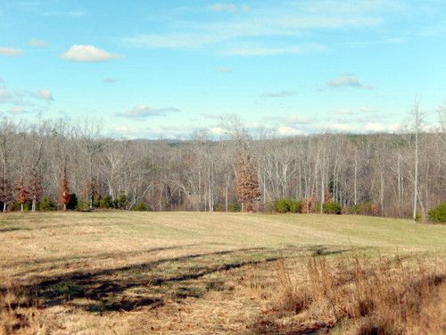 85 ac Three Creeks Rd, Gladys, VA 24554