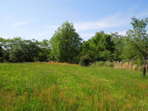 72 Ac. Possum Hollow Road, Smithville, TN 37166