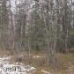 950 E Burlwood Drive, Wasilla, AK 99654 ID:12140996