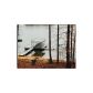 3148 Lake Ranch Drive, Gainesville, GA 30506 ID:12121422