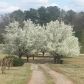 984 Florence Road, Douglasville, GA 30134 ID:12207963