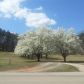 984 Florence Road, Douglasville, GA 30134 ID:12207964