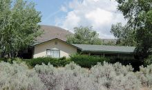 4215 Gander Lane Washoe Valley, NV 89704