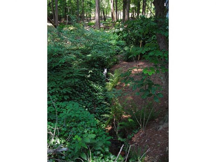 795 Timber Lake Trail, Cumming, GA 30041