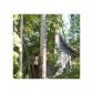 195 Mooney Creek Road, Dahlonega, GA 30533 ID:12321421