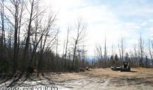 L166A Loc Loman Lane Anchorage, AK 99516