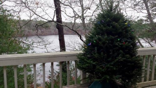 133 Barker Rd, East Wareham, MA 02538