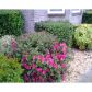 115 Montclair Place, Ellenwood, GA 30294 ID:12327351