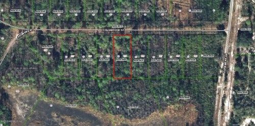 111 COLDBROOK, Georgetown, FL 32139