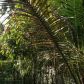 10748 LAGO WELLEBY DRIVE, Fort Lauderdale, FL 33351 ID:12153202