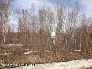 12729 W Birch Road, Big Lake, AK 99652