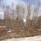 12729 W Birch Road, Big Lake, AK 99652 ID:12232005
