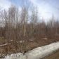 12729 W Birch Road, Big Lake, AK 99652 ID:12232006