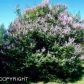 5750 E Camborne Drive, Palmer, AK 99645 ID:12289421