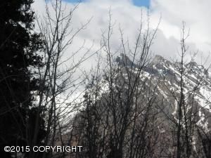 16721 E Culk Circle, Palmer, AK 99645