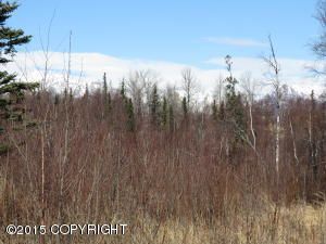9289 E Spring Creek Circle, Palmer, AK 99645