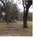 411 County Road 875, West Columbia, TX 77486 ID:12138915