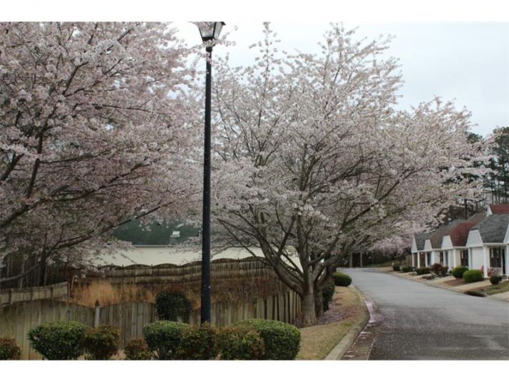 232 Rose Cottage Drive, Woodstock, GA 30189
